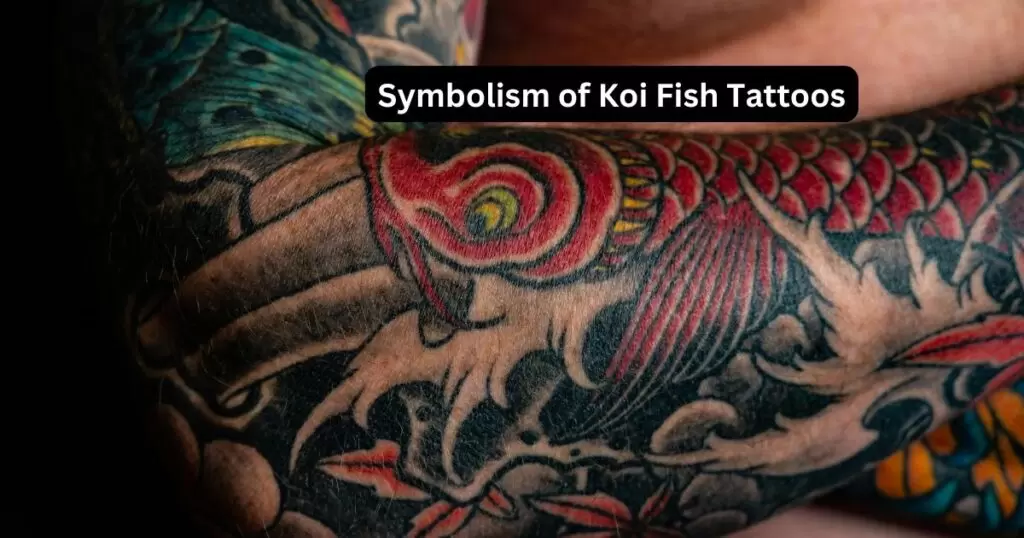Understanding the Symbolism of Koi Fish Tattoos
